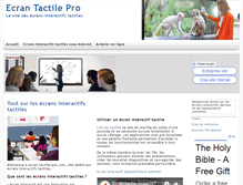 Tablet Screenshot of ecran-tactile-pro.com
